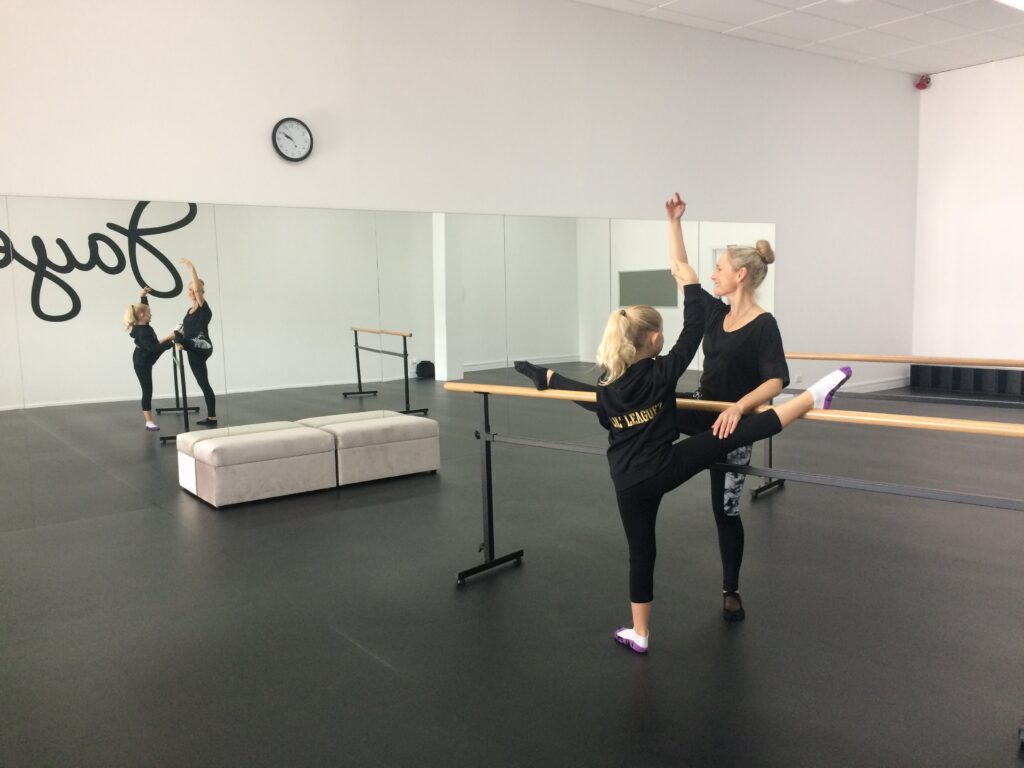 Jayes Dance - Portable Barre, Wall Fixed Mirror, Everydance Vinyl